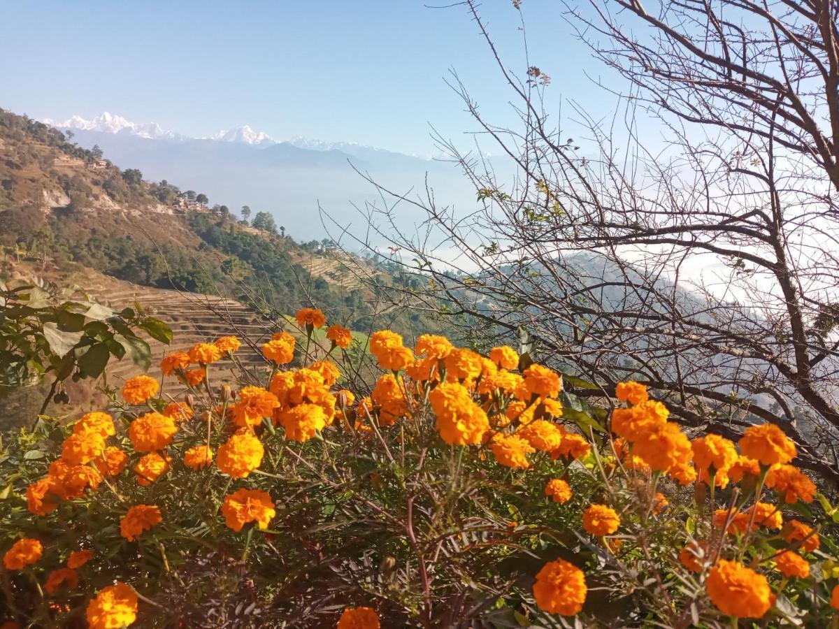 Unique Point Home Stay Nagarkot Exterior photo