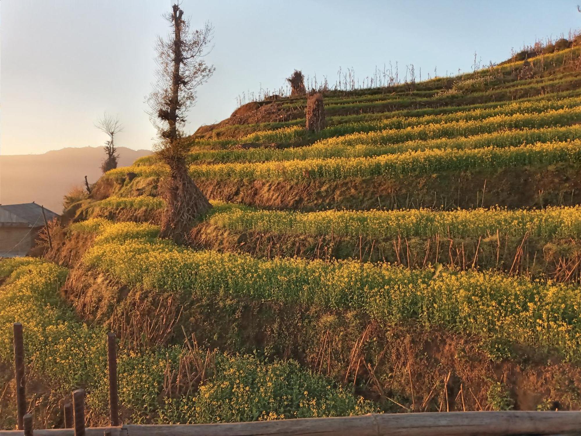 Unique Point Home Stay Nagarkot Exterior photo