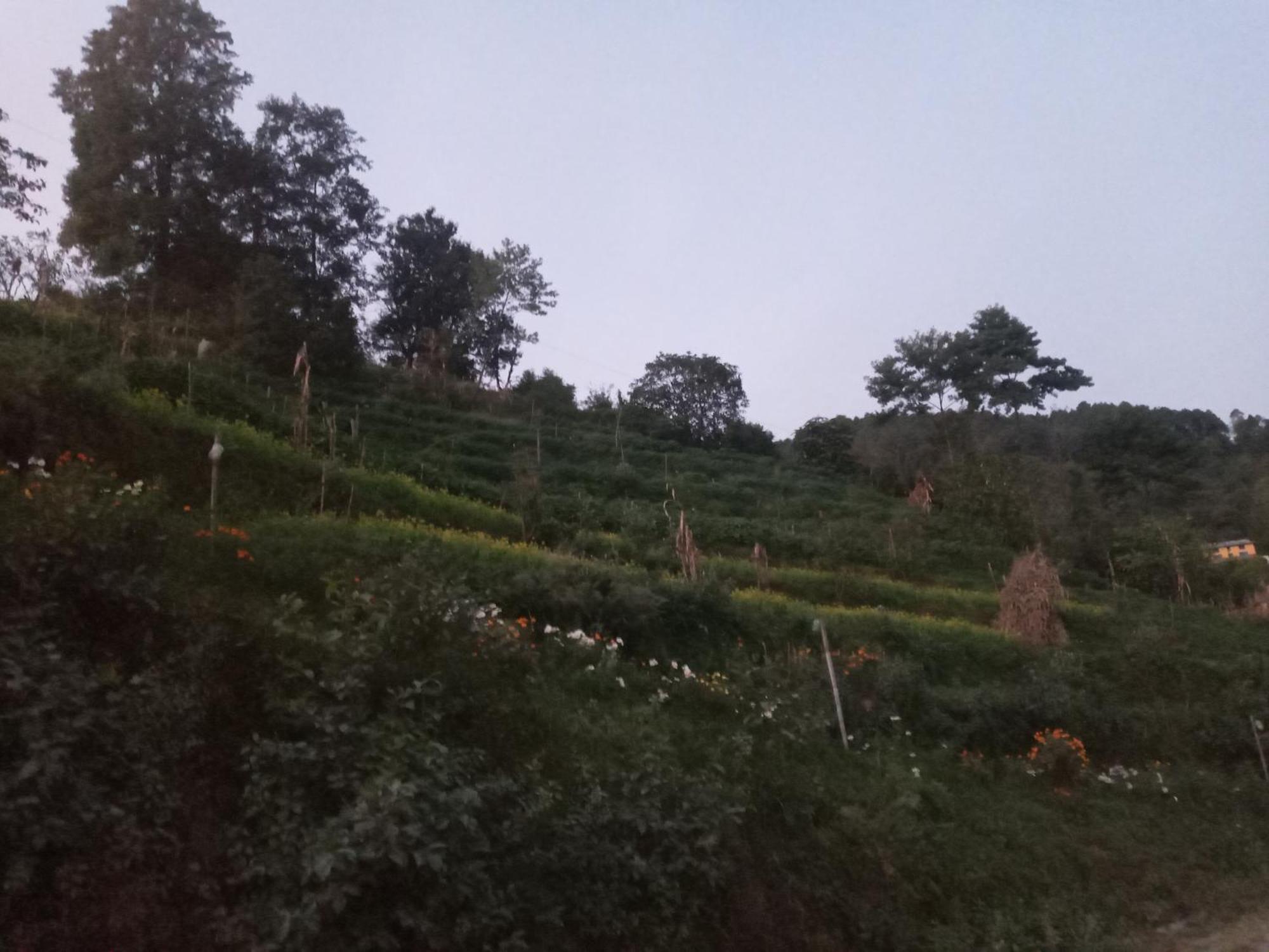 Unique Point Home Stay Nagarkot Exterior photo